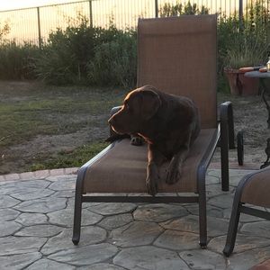 Meet your Posher, James